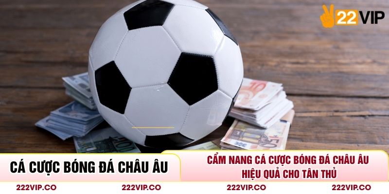 Cẩm Nang Cá Cược Bóng Đá Châu Âu Hiệu Quả Cho Tân Thủ